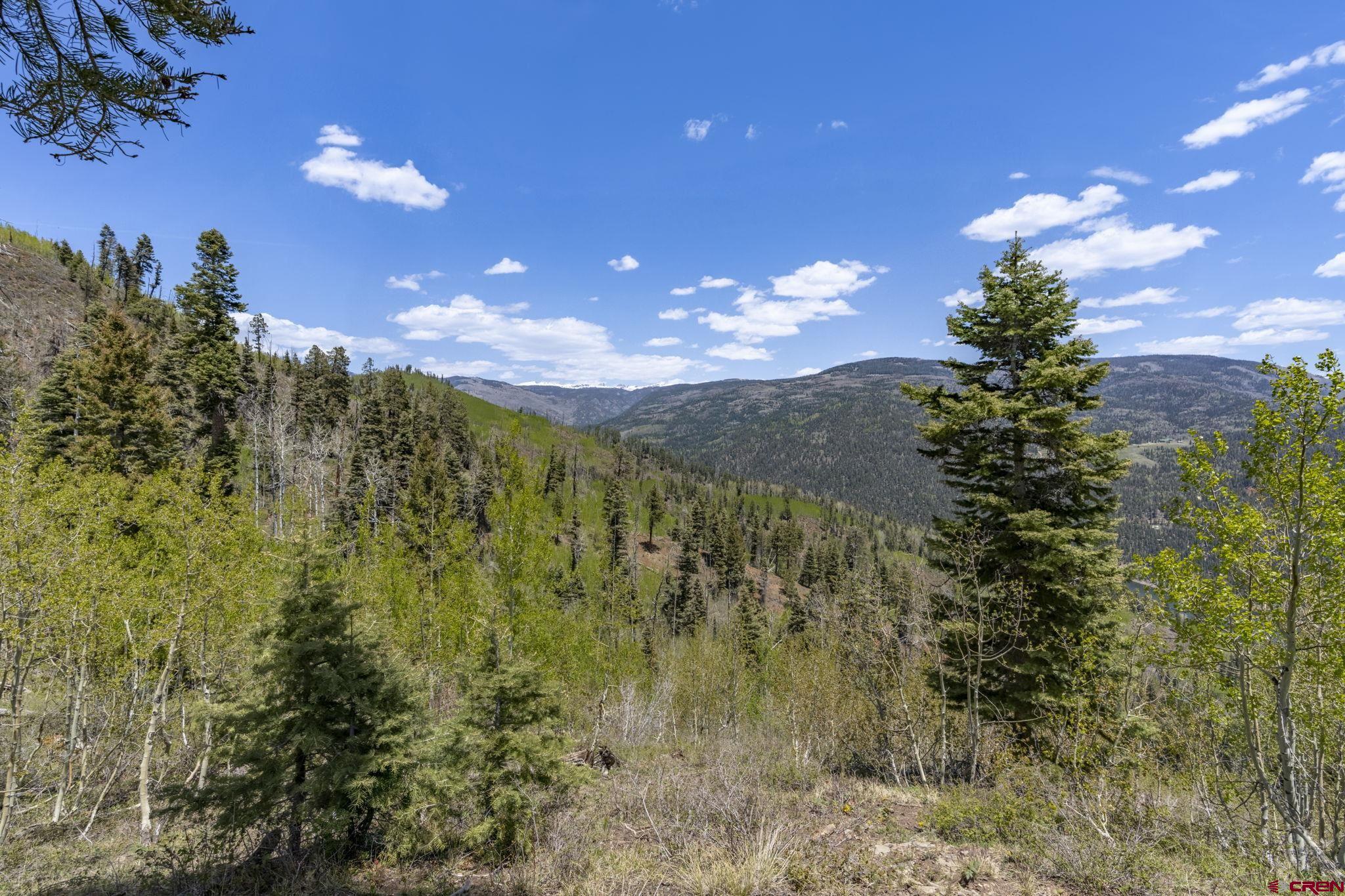 1515 County Road 243 Durango, CO 81301 - Photo 41 of 43 a view of a houses with a yard