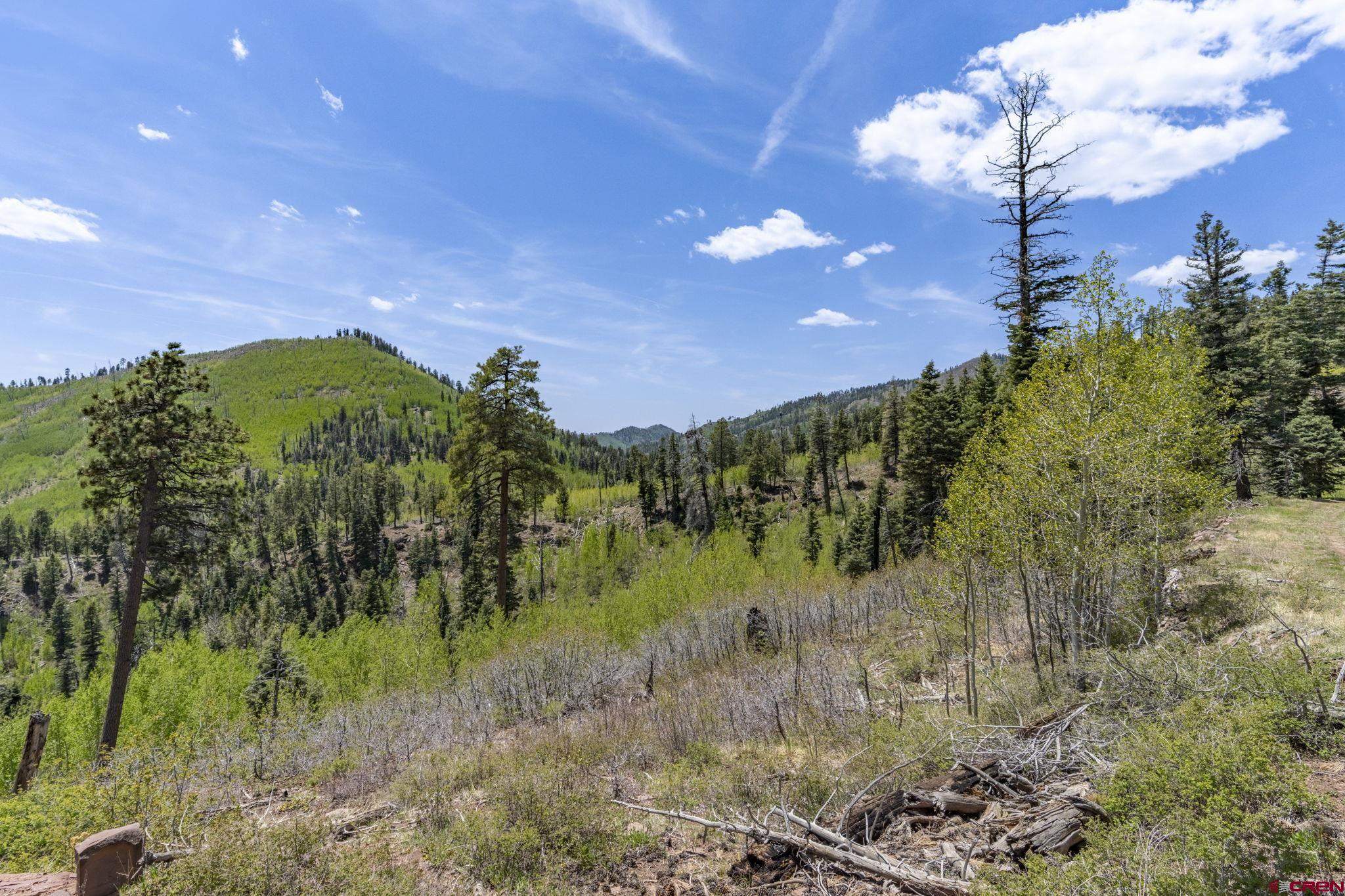 1515 County Road 243 Durango, CO 81301 - Photo 42 of 43 a view of a yard with a tree