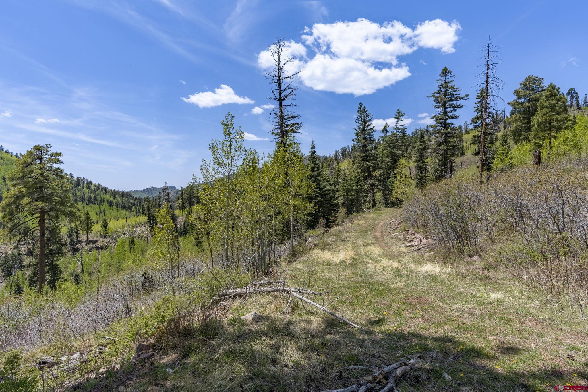 1515 County Road 243 Durango, CO 81301 - Photo 43 of 43 a view of a lake in middle of forest