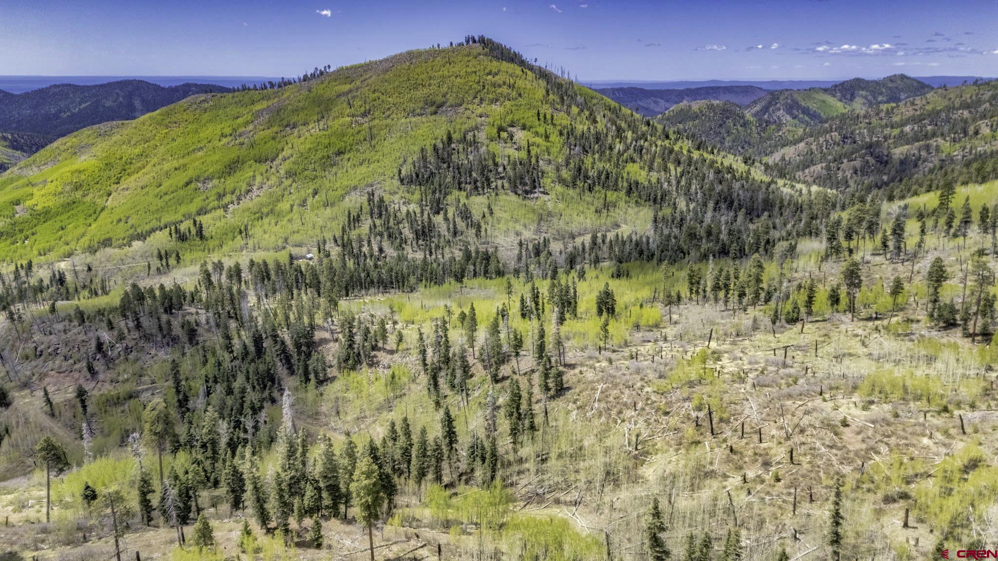 1515 County Road 243 Durango, CO 81301 - Photo 5 of 43 a view of swimming pool with a yard