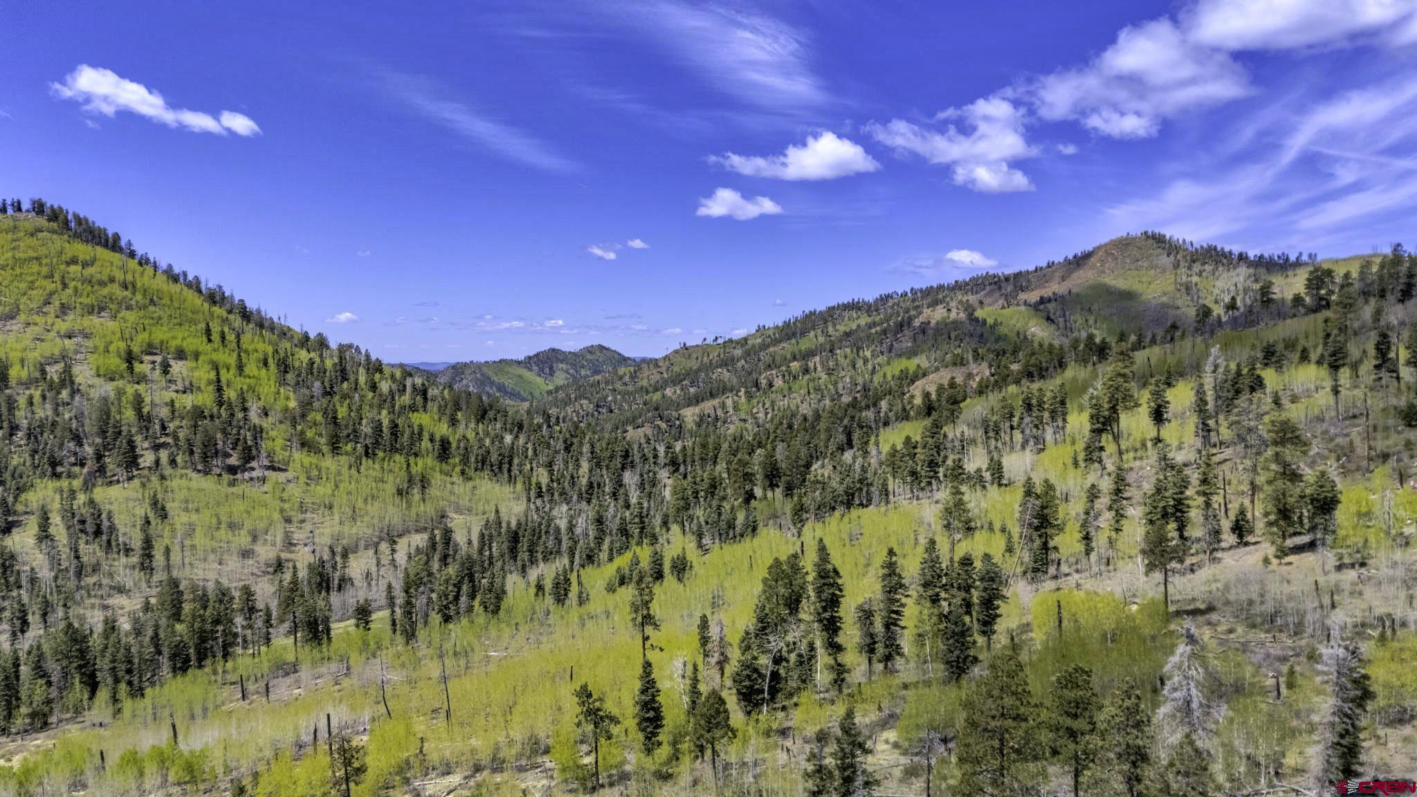 1515 County Road 243 Durango, CO 81301 - Photo 6 of 43