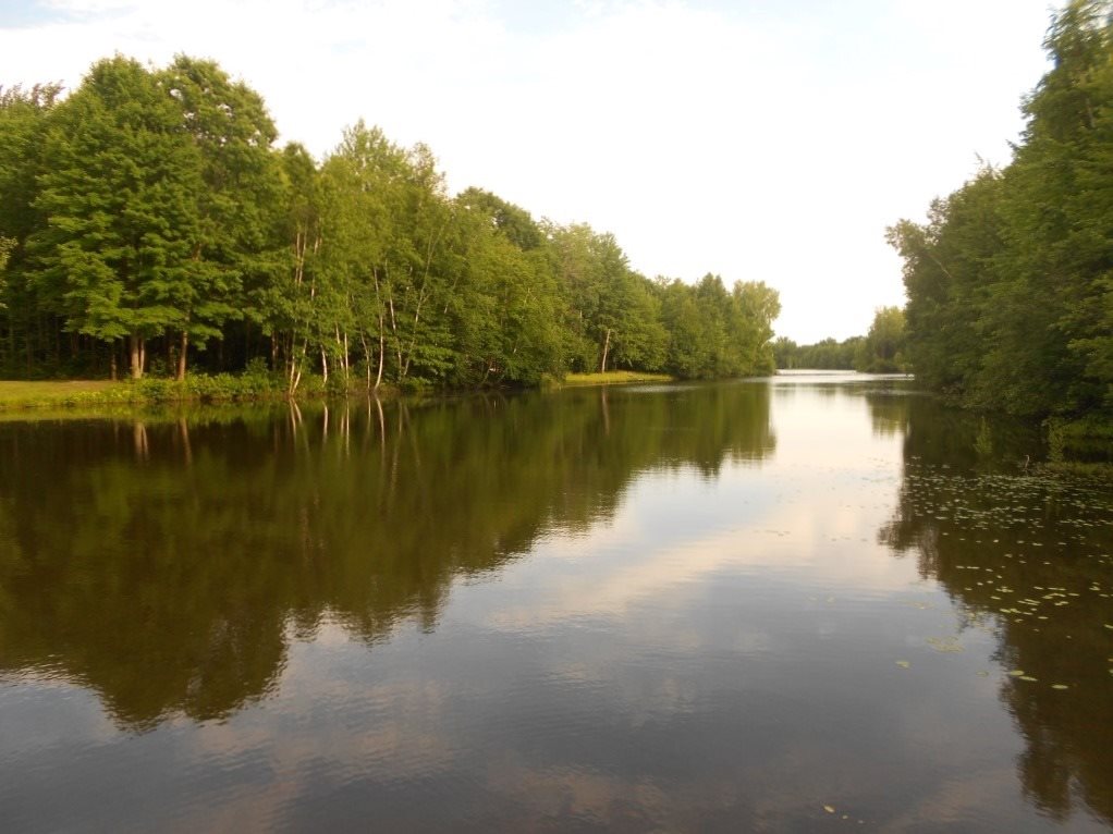 3140 South East County Line Road Shepherd, MI 48883 - Photo 37 of 38 1848769-36.JPG