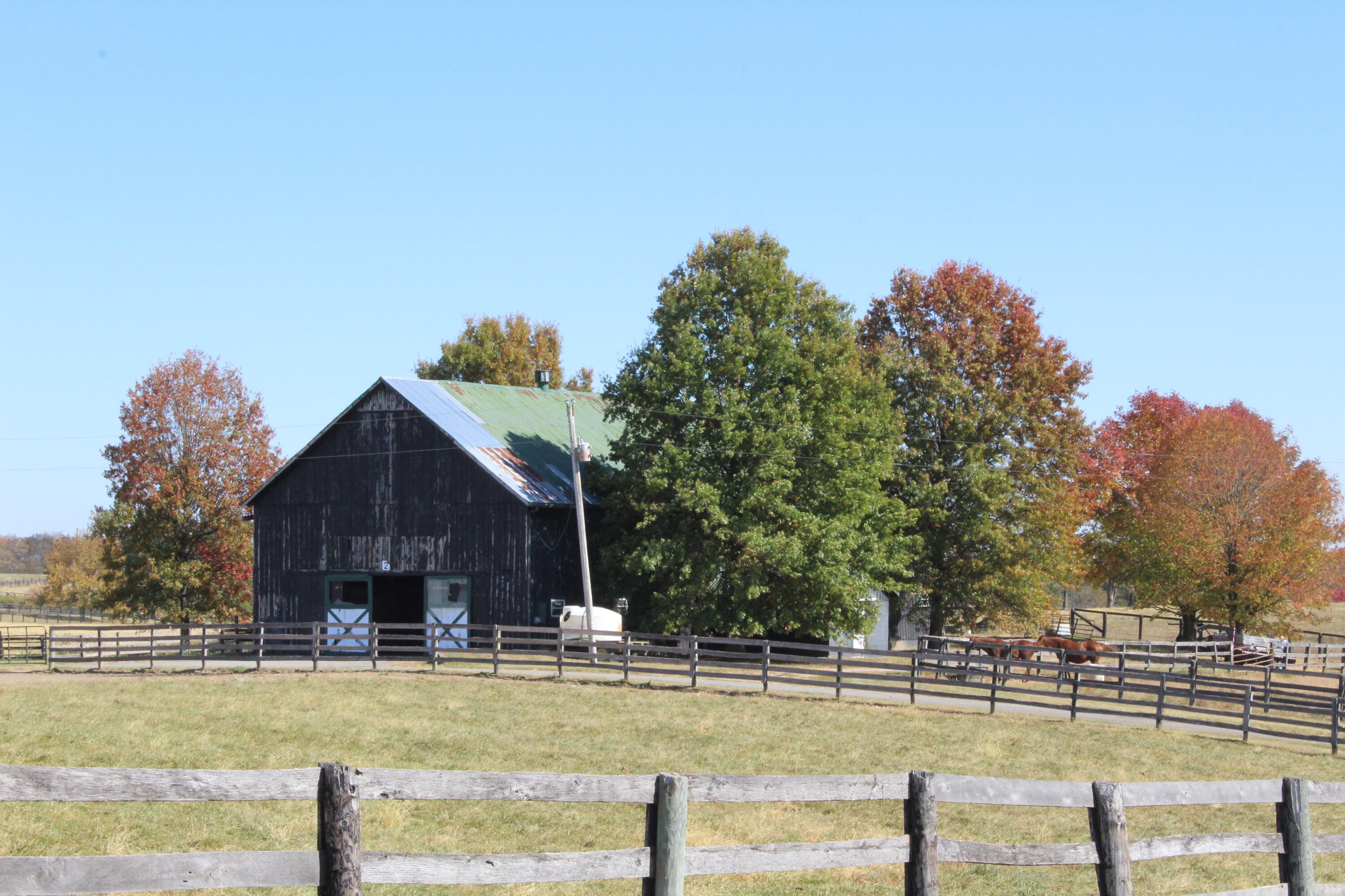 491 Elizabeth Station Road Paris, KY 40361 - Photo 10 of 20 IMG_2702