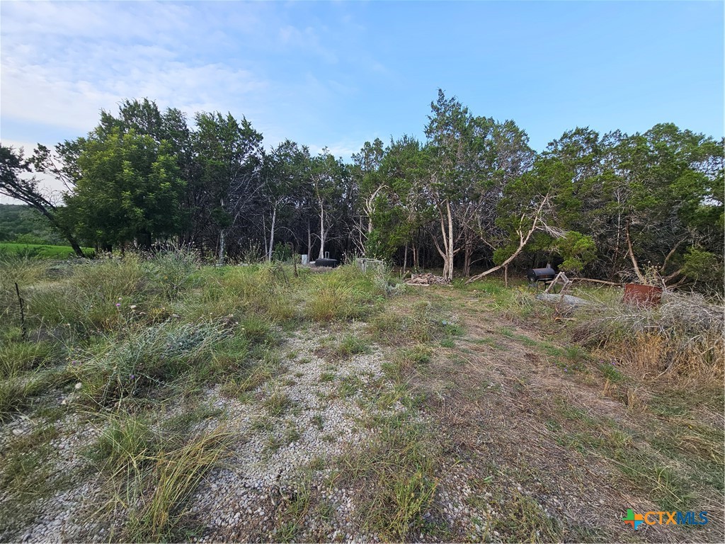 1536 Hidden Valley Drive Spring Branch, TX 78070 - Photo 4 of 10 a view of outdoor space and yard
