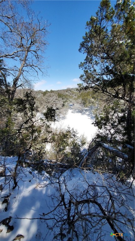 1536 Hidden Valley Drive Spring Branch, TX 78070 - Photo 9 of 10 a view of a tree with a yard