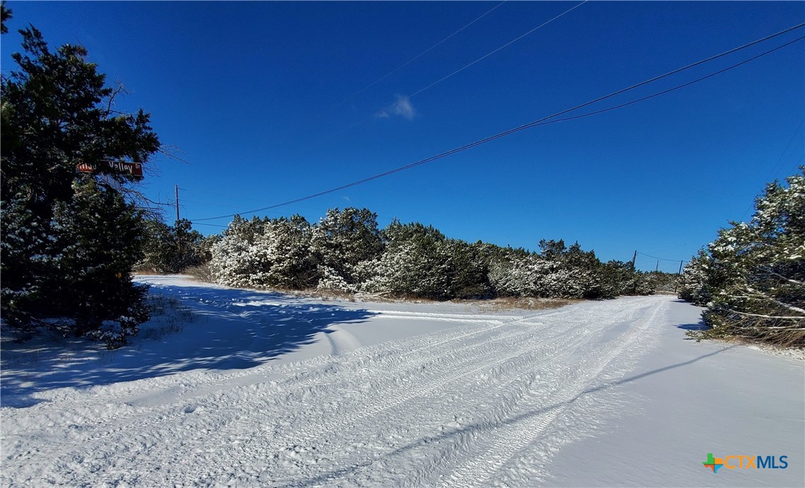 1536 Hidden Valley Drive Spring Branch, TX 78070 - Photo 10 of 10 a view of a pathway both side of grassy field with trees