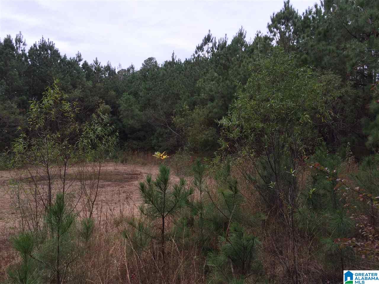 Page Spring Road, Unit 4 Arab, AL 35016 - Photo 18 of 29