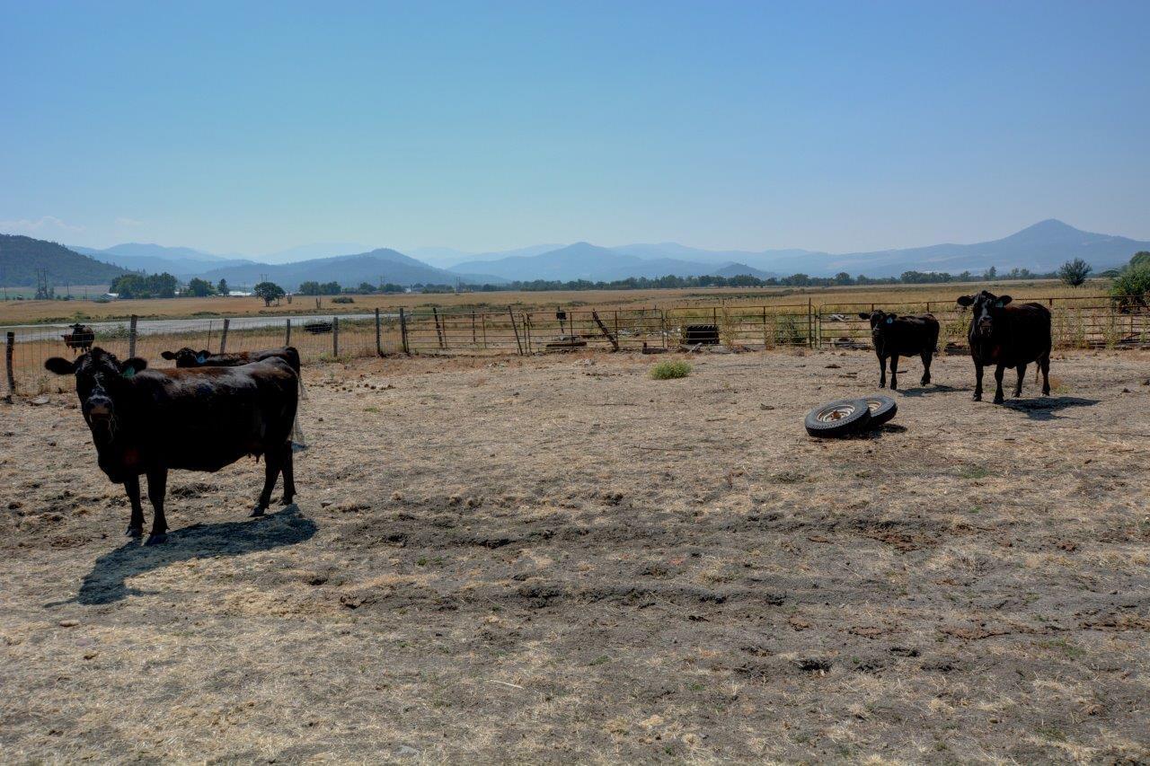 3760 Alta Vista Road Eagle Point, OR 97524 - Photo 53 of 74 DSC_5353_4_5