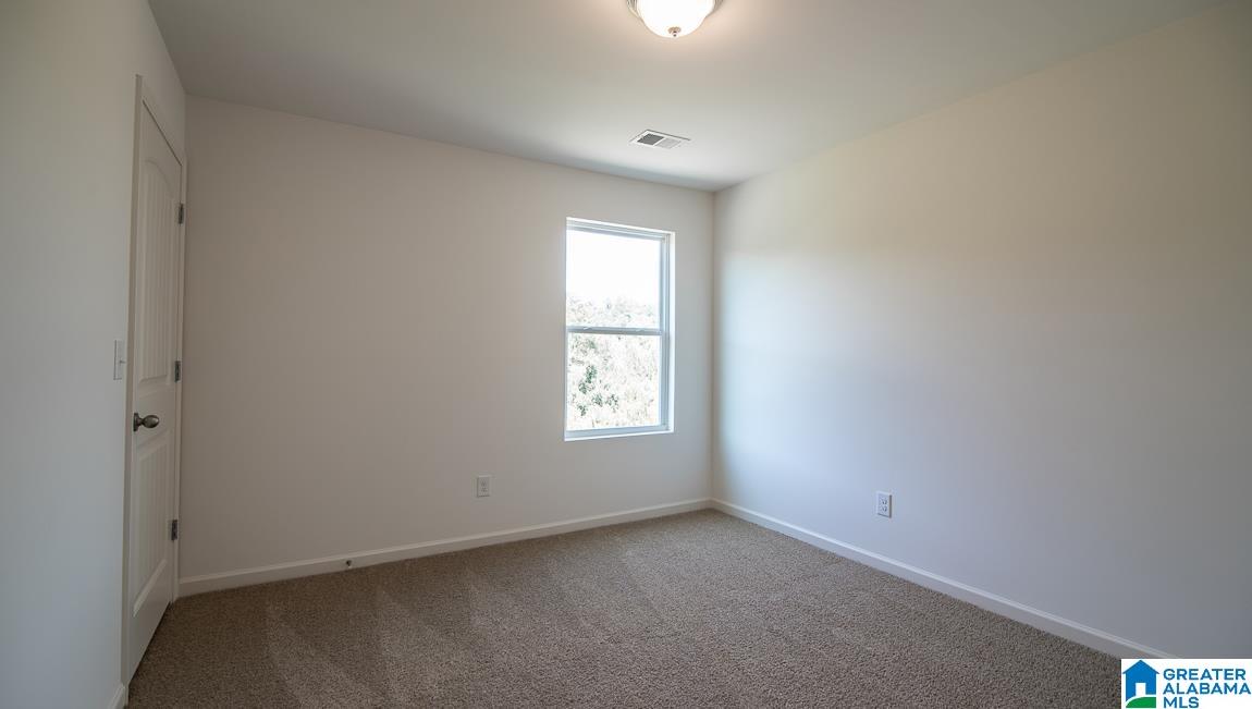 293 Chelsea Park Road Chelsea, AL 35043 - Photo 18 of 22