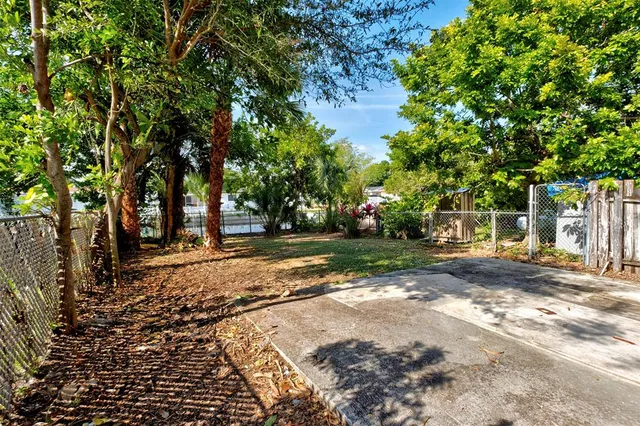 a view of a yard with plants and trees