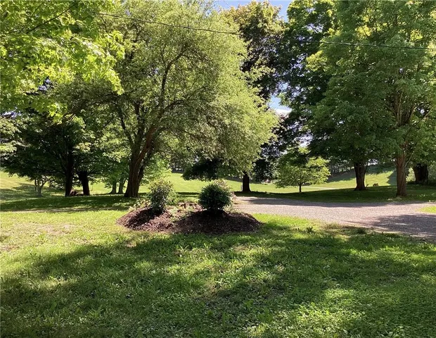 a view of a field of grass and trees