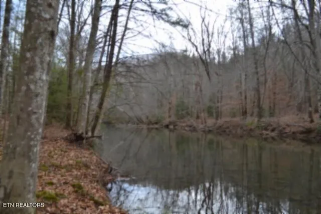 $49,900 | Lot 151 Steel Tram Ridge, Crawford, TN 38554