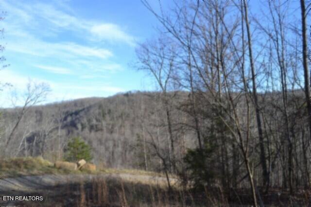 Lot 151 Steel Tram Ridge Crawford, TN 38554 - Photo 13 of 58 DSC_0179