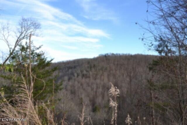 Lot 151 Steel Tram Ridge Crawford, TN 38554 - Photo 14 of 58 DSC_0182