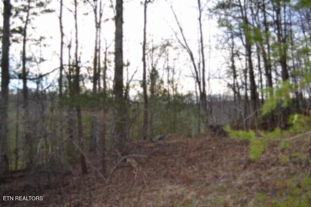 Lot 151 Steel Tram Ridge Crawford, TN 38554 - Photo 15 of 58 DSC_0192