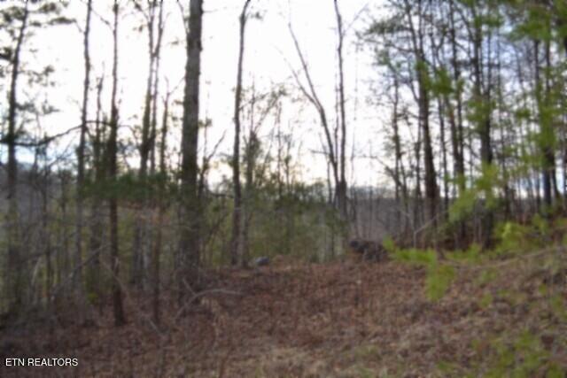 Lot 151 Steel Tram Ridge Crawford, TN 38554 - Photo 16 of 58 DSC_0194