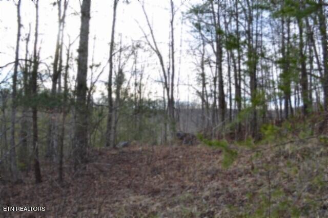 Lot 151 Steel Tram Ridge Crawford, TN 38554 - Photo 17 of 58 DSC_0197