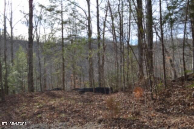 Lot 151 Steel Tram Ridge Crawford, TN 38554 - Photo 19 of 58 DSC_0211