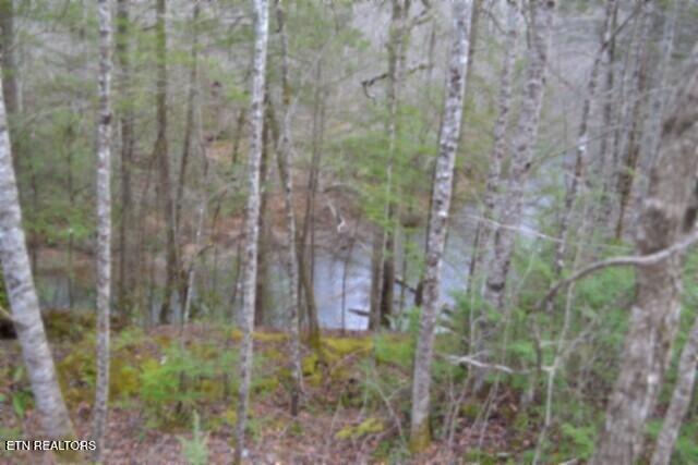Lot 151 Steel Tram Ridge Crawford, TN 38554 - Photo 20 of 58 DSC_0212