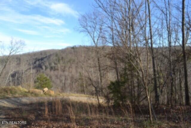 Lot 151 Steel Tram Ridge Crawford, TN 38554 - Photo 2 of 58 BEST OF MTN VIEW 1