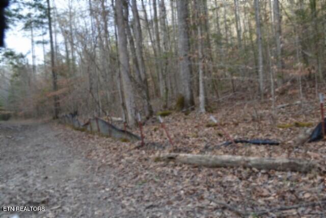 Lot 151 Steel Tram Ridge Crawford, TN 38554 - Photo 22 of 58 DSC_0221