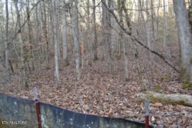 Lot 151 Steel Tram Ridge Crawford, TN 38554 - Photo 24 of 58 DSC_0230