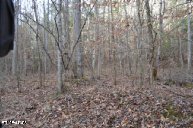 Lot 151 Steel Tram Ridge Crawford, TN 38554 - Photo 25 of 58 DSC_0231