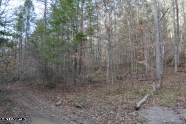 Lot 151 Steel Tram Ridge Crawford, TN 38554 - Photo 28 of 58 DSC_0235