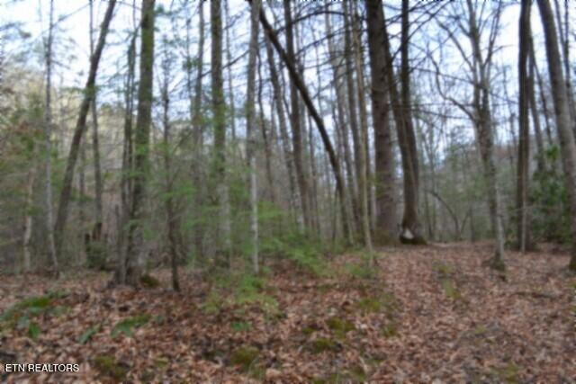 Lot 151 Steel Tram Ridge Crawford, TN 38554 - Photo 29 of 58 DSC_0237