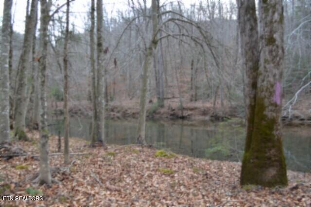 Lot 151 Steel Tram Ridge Crawford, TN 38554 - Photo 30 of 58 DSC_0238