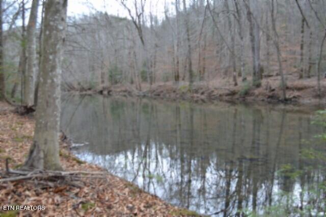 Lot 151 Steel Tram Ridge Crawford, TN 38554 - Photo 31 of 58 DSC_0239