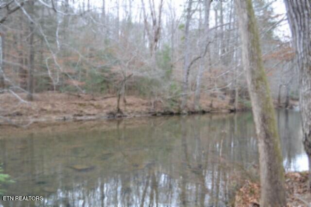 Lot 151 Steel Tram Ridge Crawford, TN 38554 - Photo 32 of 58 DSC_0240