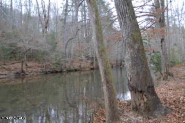 Lot 151 Steel Tram Ridge Crawford, TN 38554 - Photo 33 of 58 DSC_0241