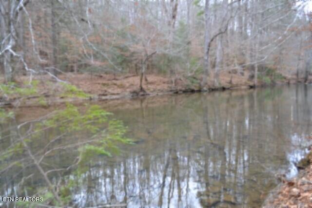 Lot 151 Steel Tram Ridge Crawford, TN 38554 - Photo 35 of 58 DSC_0246