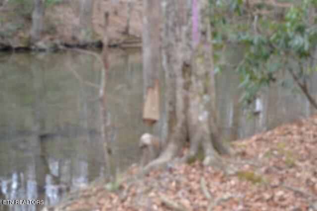 Lot 151 Steel Tram Ridge Crawford, TN 38554 - Photo 36 of 58 DSC_0247