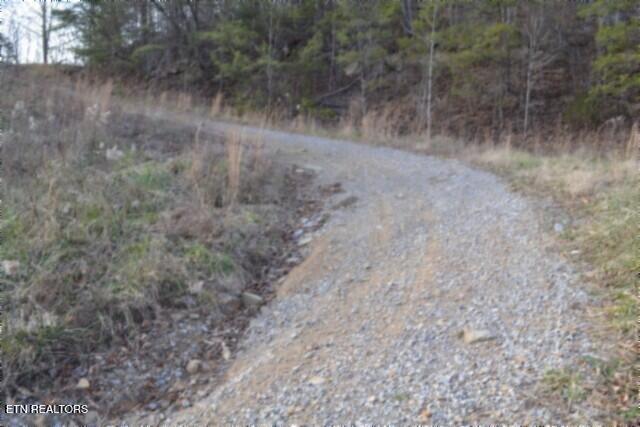Lot 151 Steel Tram Ridge Crawford, TN 38554 - Photo 37 of 58 DSC_0186