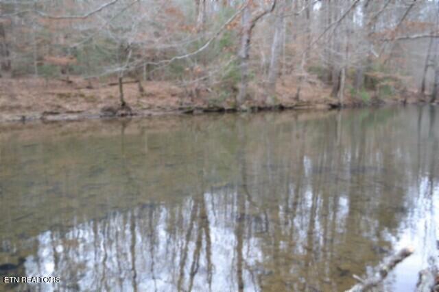 Lot 151 Steel Tram Ridge Crawford, TN 38554 - Photo 39 of 58 DSC_0250