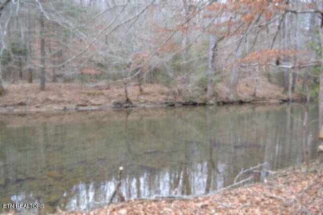 Lot 151 Steel Tram Ridge Crawford, TN 38554 - Photo 40 of 58 DSC_0251