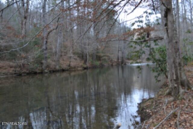 Lot 151 Steel Tram Ridge Crawford, TN 38554 - Photo 4 of 58 BEST 1 OF RIVER