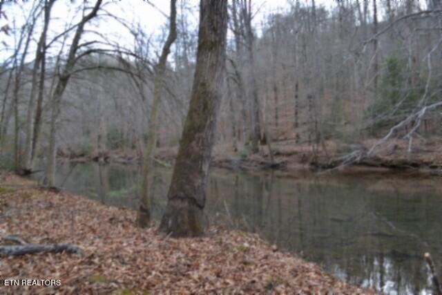 Lot 151 Steel Tram Ridge Crawford, TN 38554 - Photo 41 of 58 DSC_0253