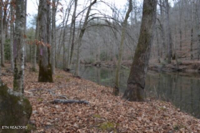 Lot 151 Steel Tram Ridge Crawford, TN 38554 - Photo 42 of 58 DSC_0255