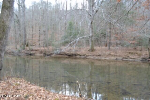 Lot 151 Steel Tram Ridge Crawford, TN 38554 - Photo 43 of 58 DSC_0256