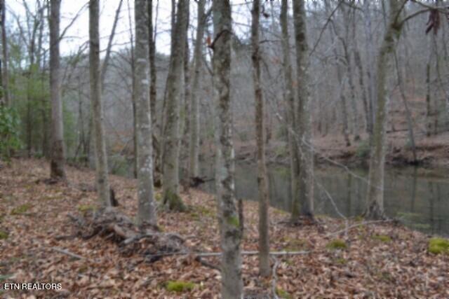 Lot 151 Steel Tram Ridge Crawford, TN 38554 - Photo 45 of 58 DSC_0258