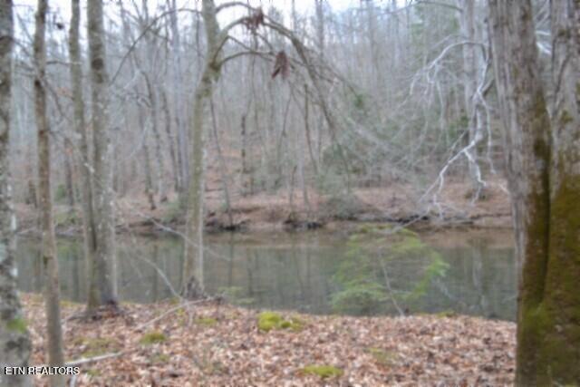 Lot 151 Steel Tram Ridge Crawford, TN 38554 - Photo 46 of 58 DSC_0259