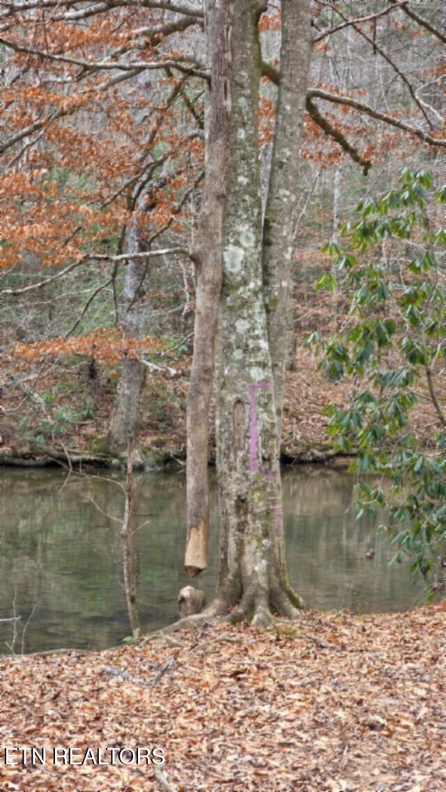 Lot 151 Steel Tram Ridge Crawford, TN 38554 - Photo 50 of 58 IMG_20260107_181413