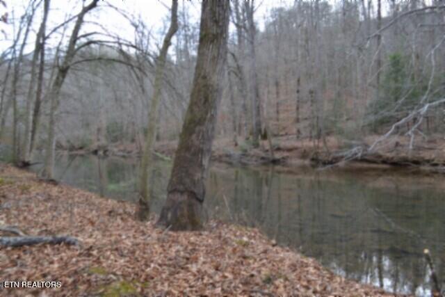 Lot 151 Steel Tram Ridge Crawford, TN 38554 - Photo 51 of 58 RIVER BANK BEST 2