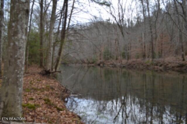 Lot 151 Steel Tram Ridge Crawford, TN 38554 - Photo 6 of 58 BEST OF RIVER 5