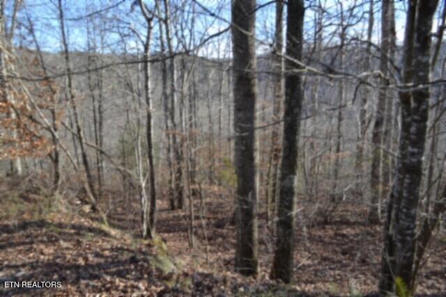 Lot 151 Steel Tram Ridge Crawford, TN 38554 - Photo 9 of 58 DSC_0173