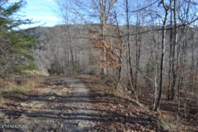 Lot 151 Steel Tram Ridge Crawford, TN 38554 - Photo 10 of 58 DSC_0174
