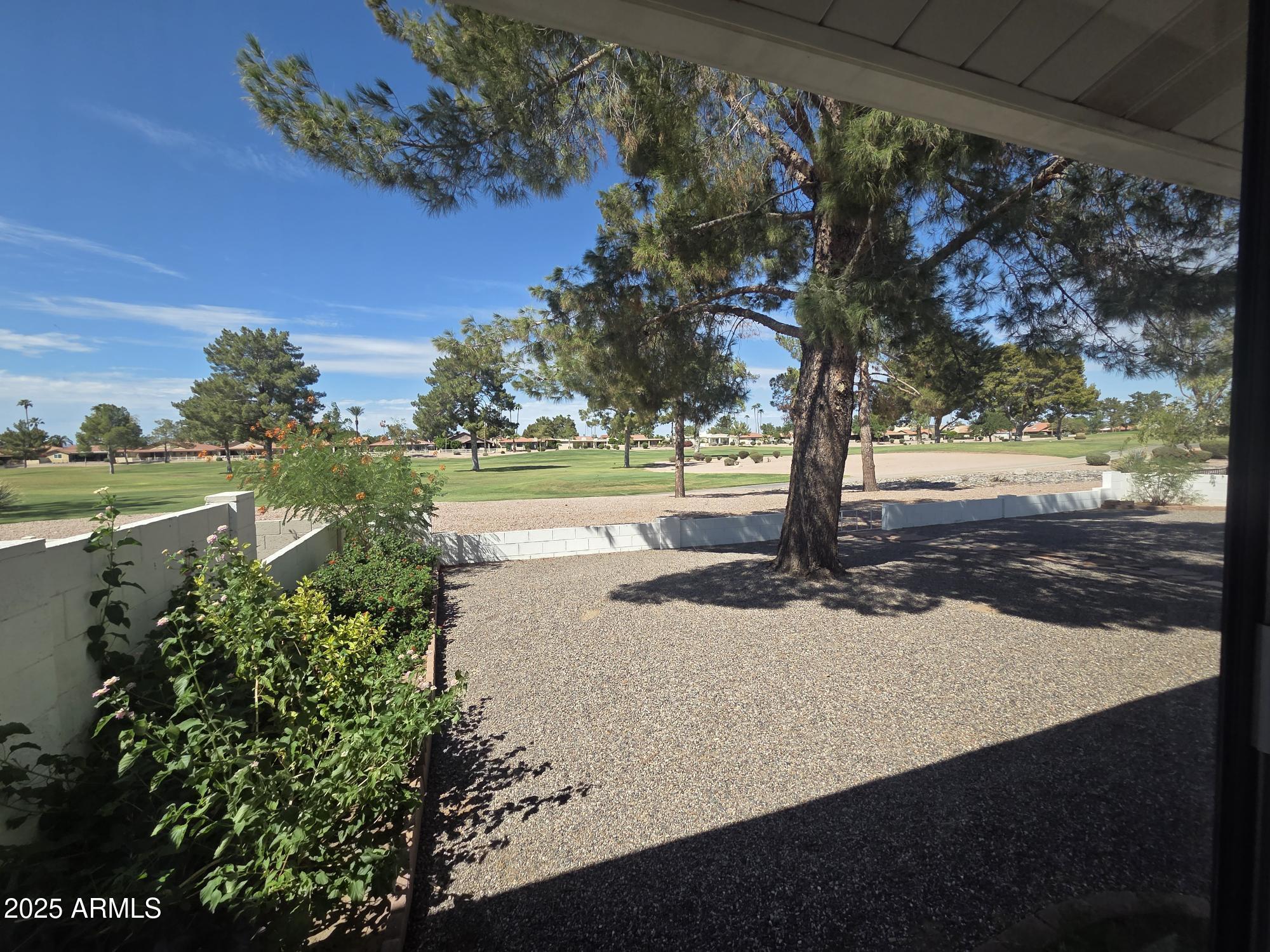 10242 East Spring Creek Road Sun Lakes, AZ 85248 - Photo 18 of 30 a view of a yard with an tree